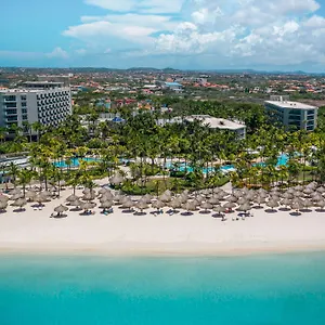 Hilton Aruba Caribbean Resort&casino Palm Beach